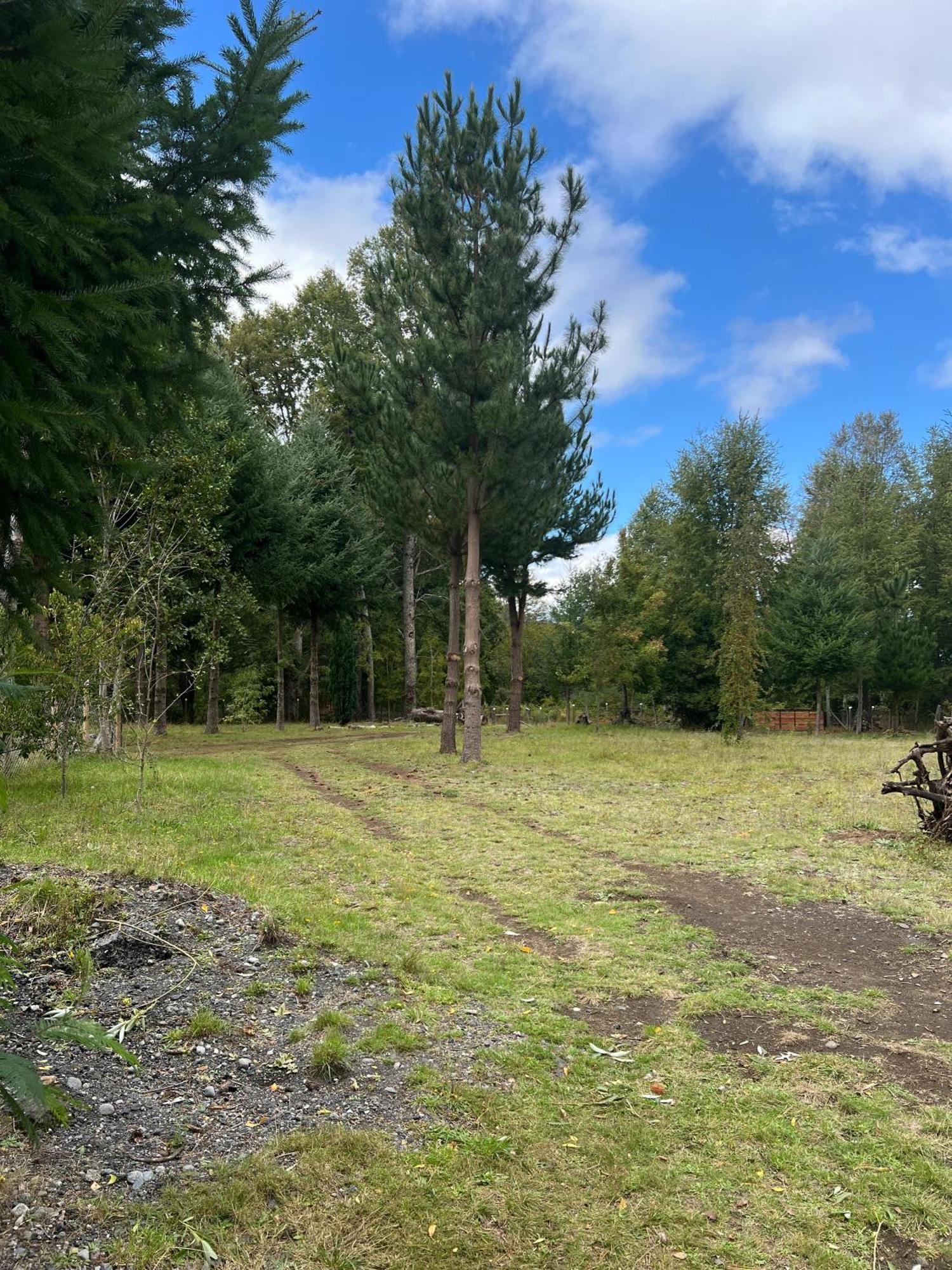 Cabana May Pao, Para 3 En Melipeuco Cerca Del Parque Nacional Conguillio Exterior foto